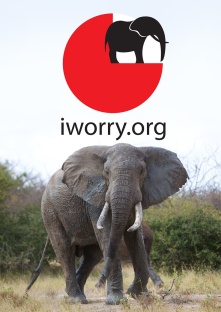 iworry.org